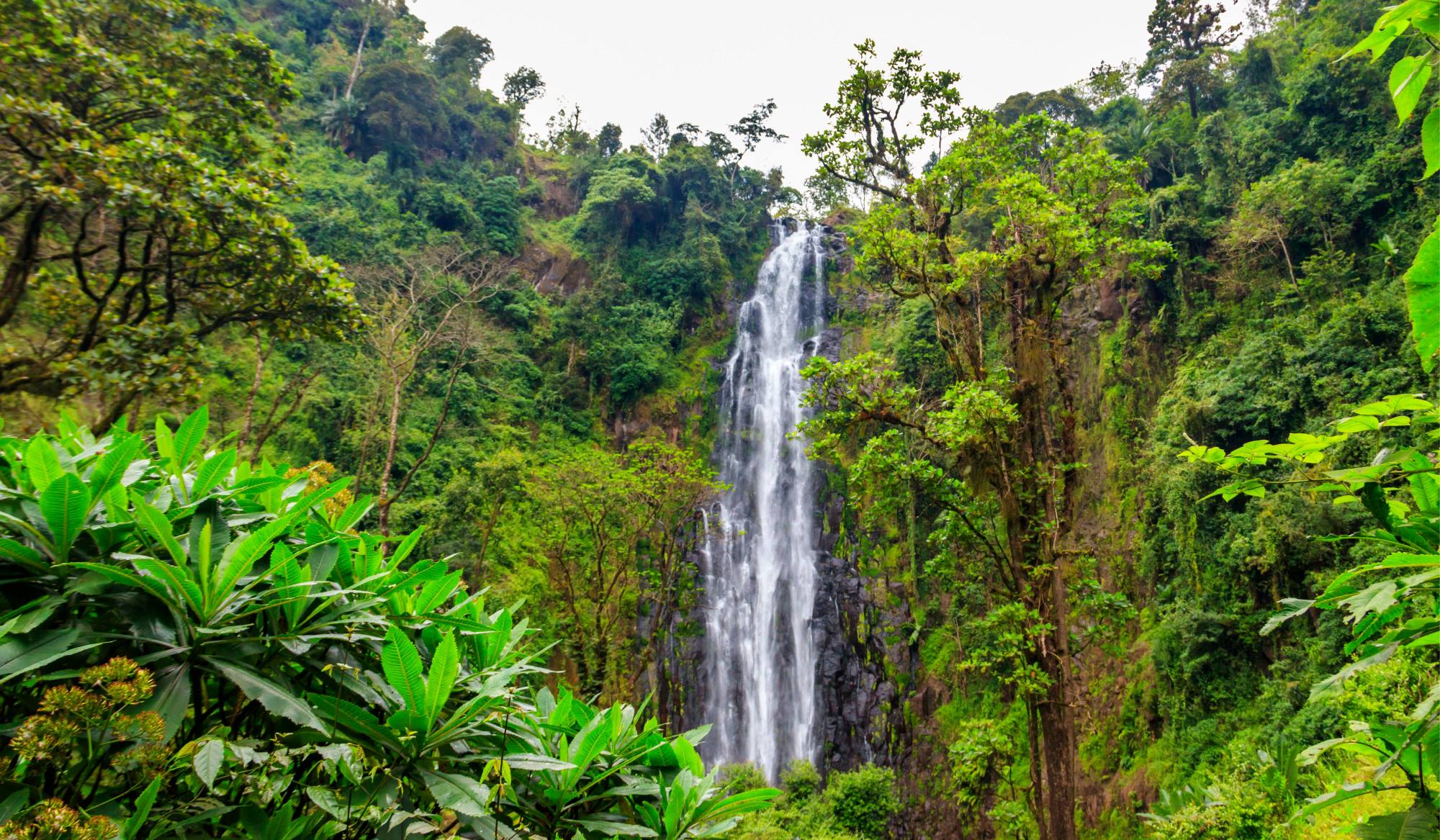 Materuni Waterfalls Kilimanjaro Foothills