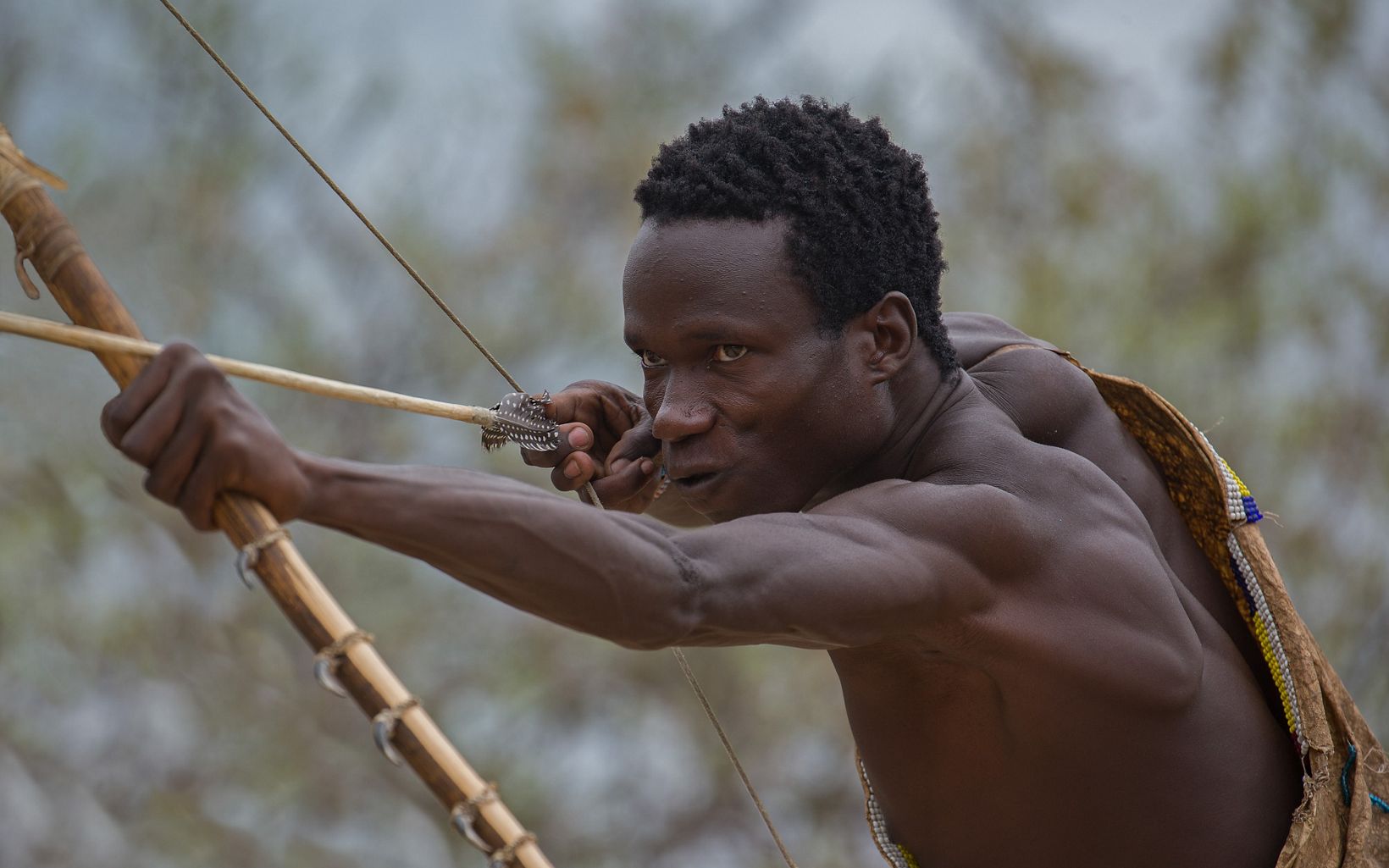 Traditional Archery and Bow Making
