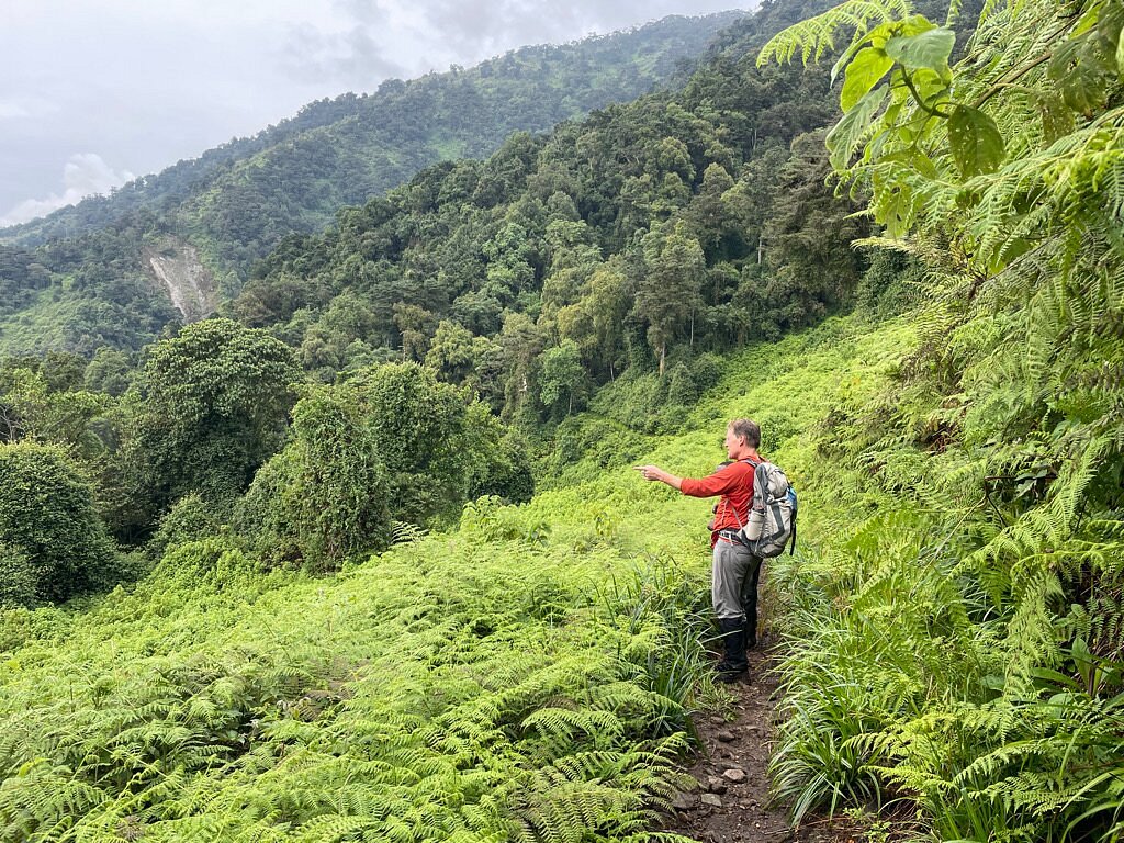 Montane Jungle Trek Path