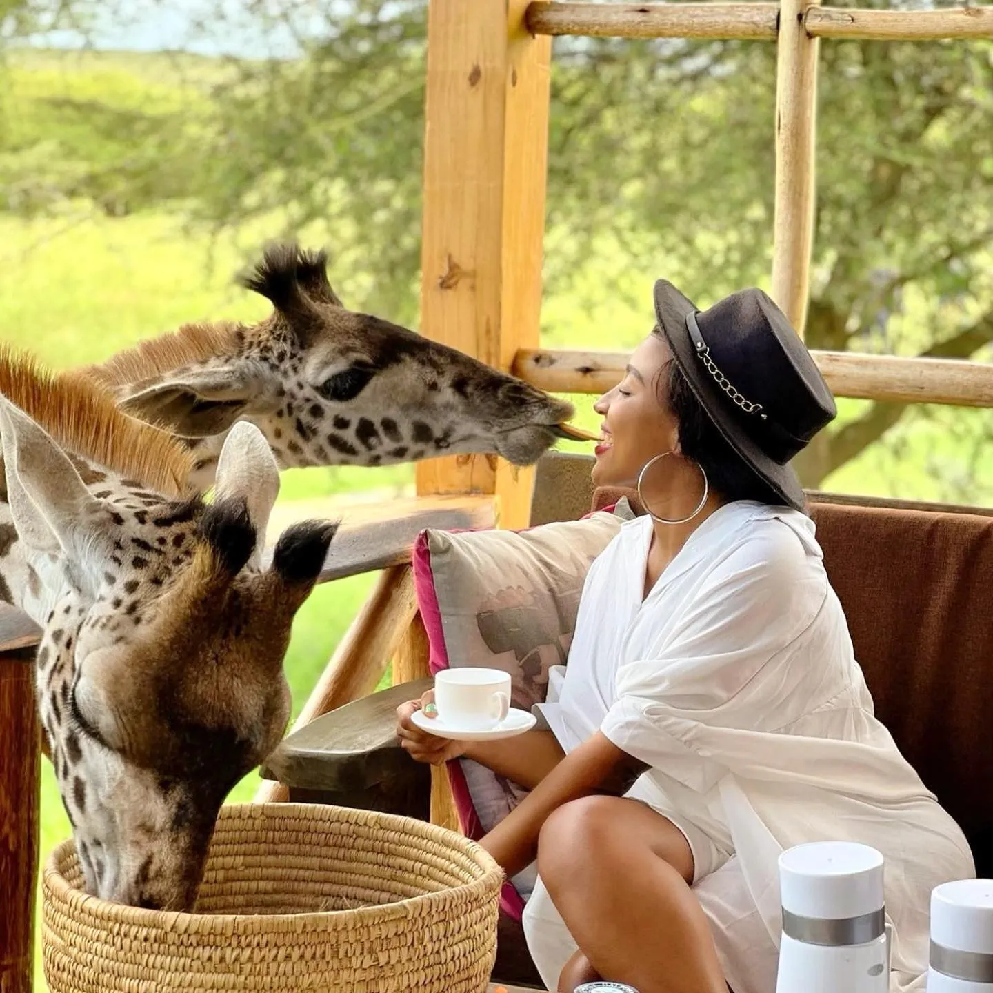 Serval Wildlife Interaction Sanctuary