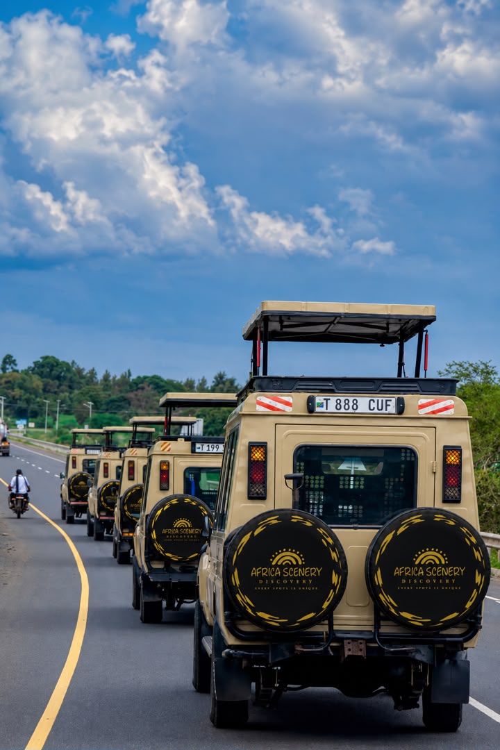 Safari Experience