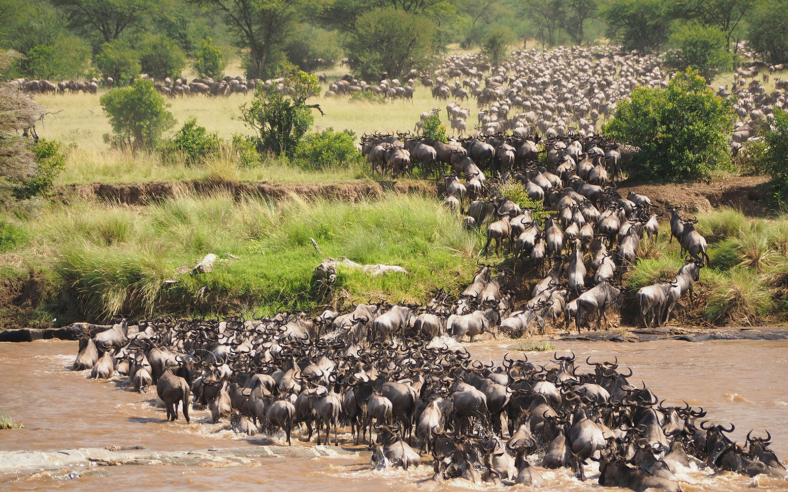 Kenyan Wilderness Nyumbu Escorted Odyssey