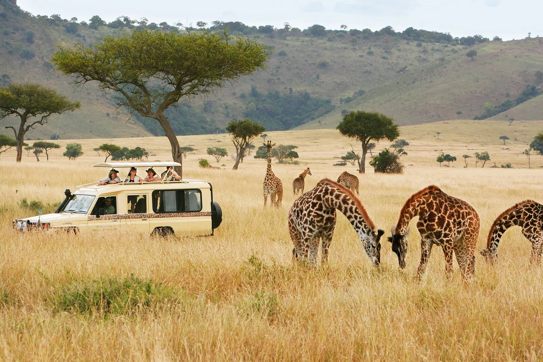 Wildlife Adventure Offbeat Kenya