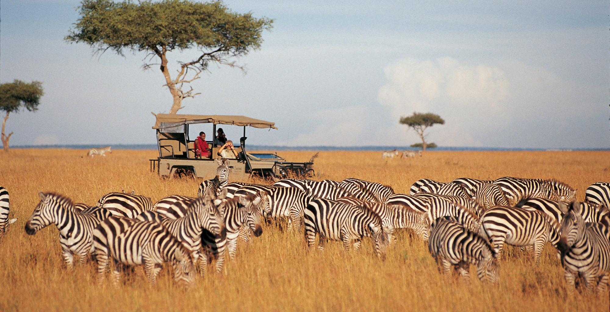 Exploring Samburu Unique Wildlife