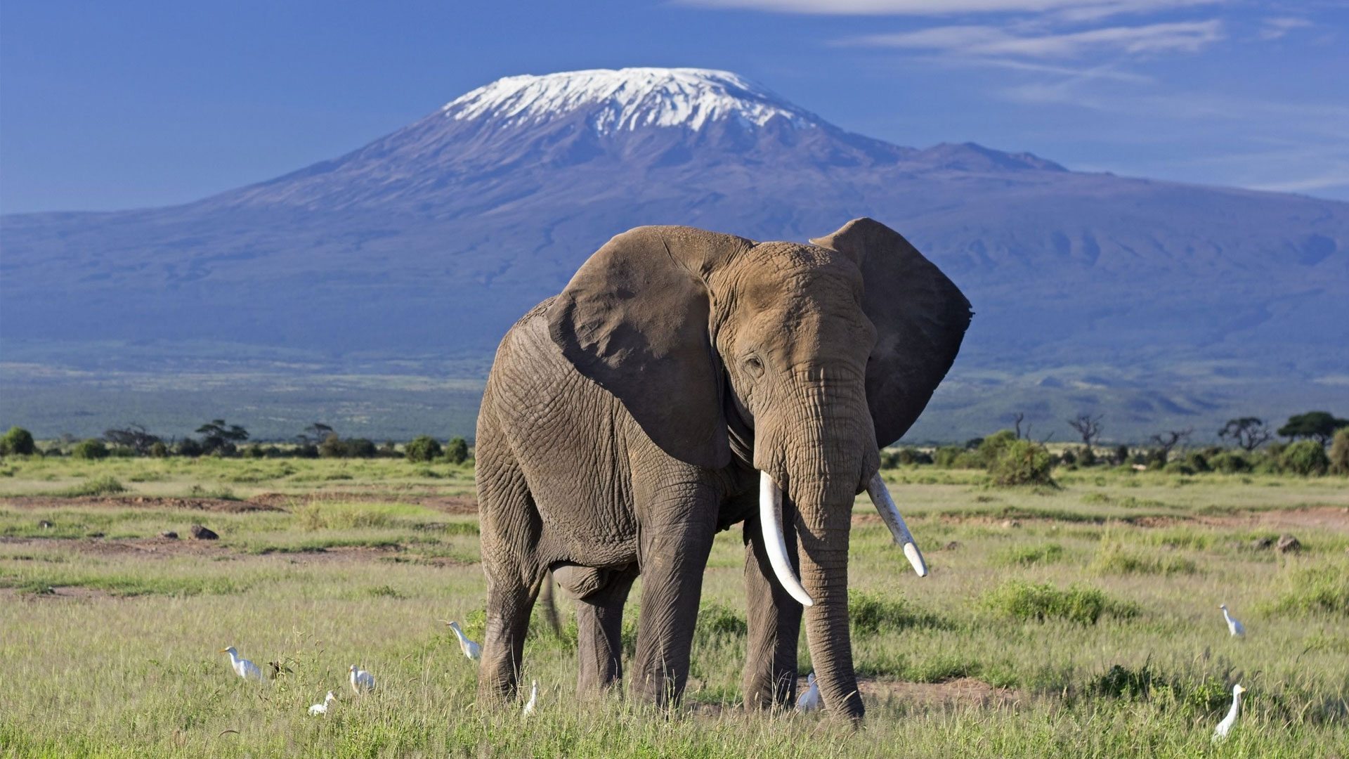 East African natural wonder landscape