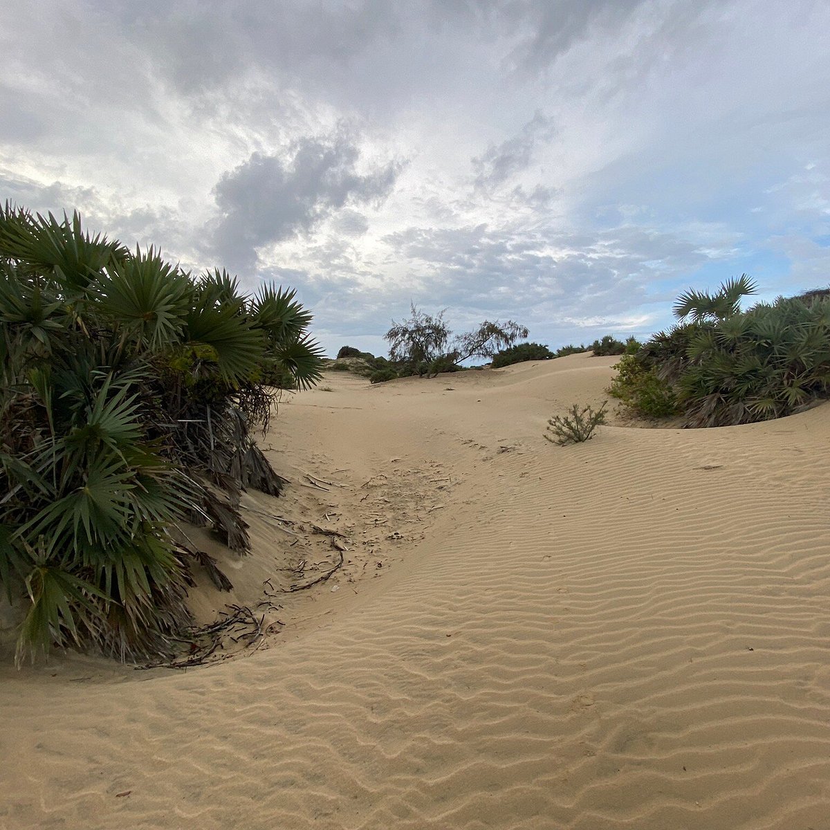 Shela Beach Dunes