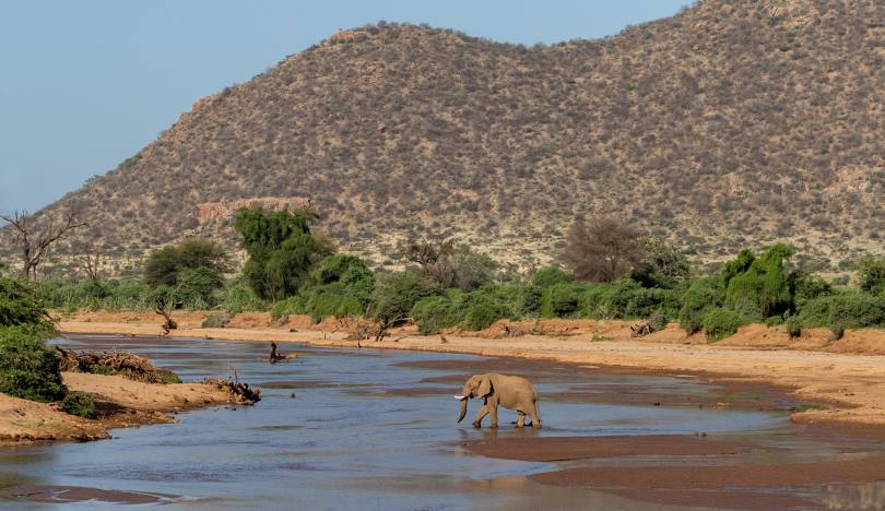Ewaso Ng'iro Riverbank