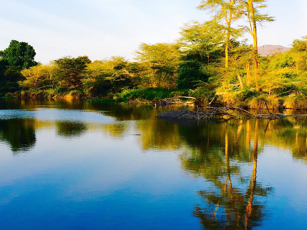 Mzima Springs Oasis