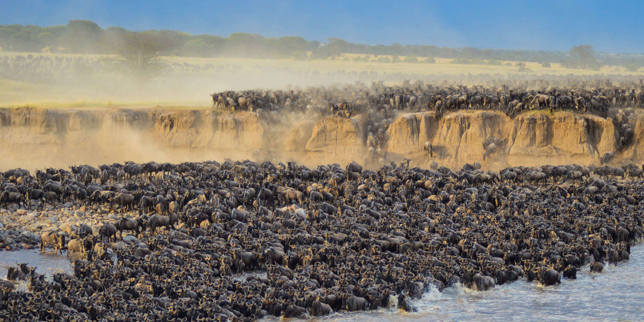 Northern Serengeti Great Migration