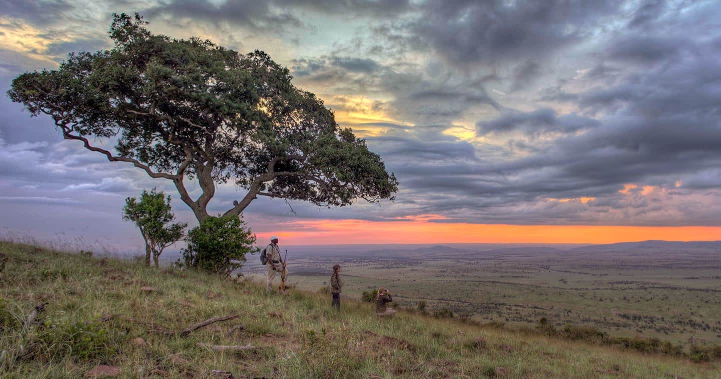 Northern Serengeti landscape