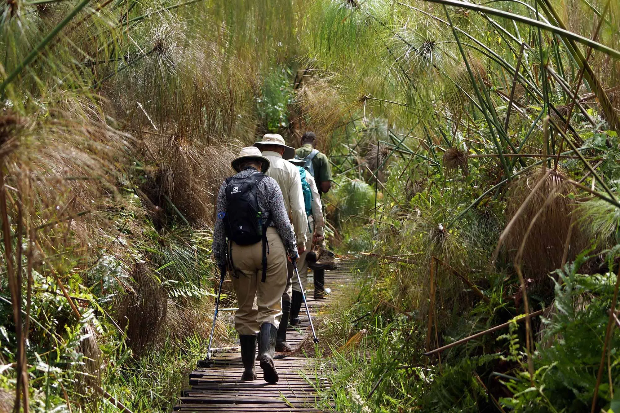 Kibale Chimpanzee Tracking and Kazinga Channel Boat Cruise