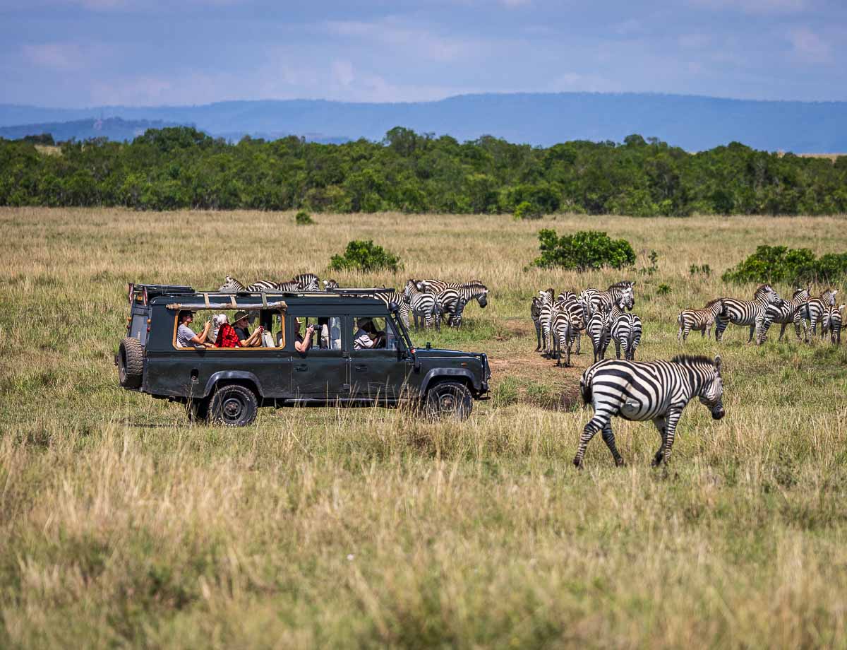 African safari landscape preparation elements