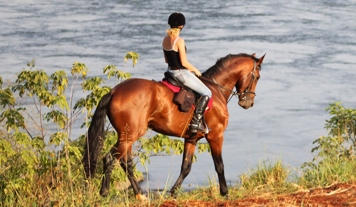 Lake Mburo Horseback Riding Safari